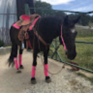 Meet your Posher, Eva